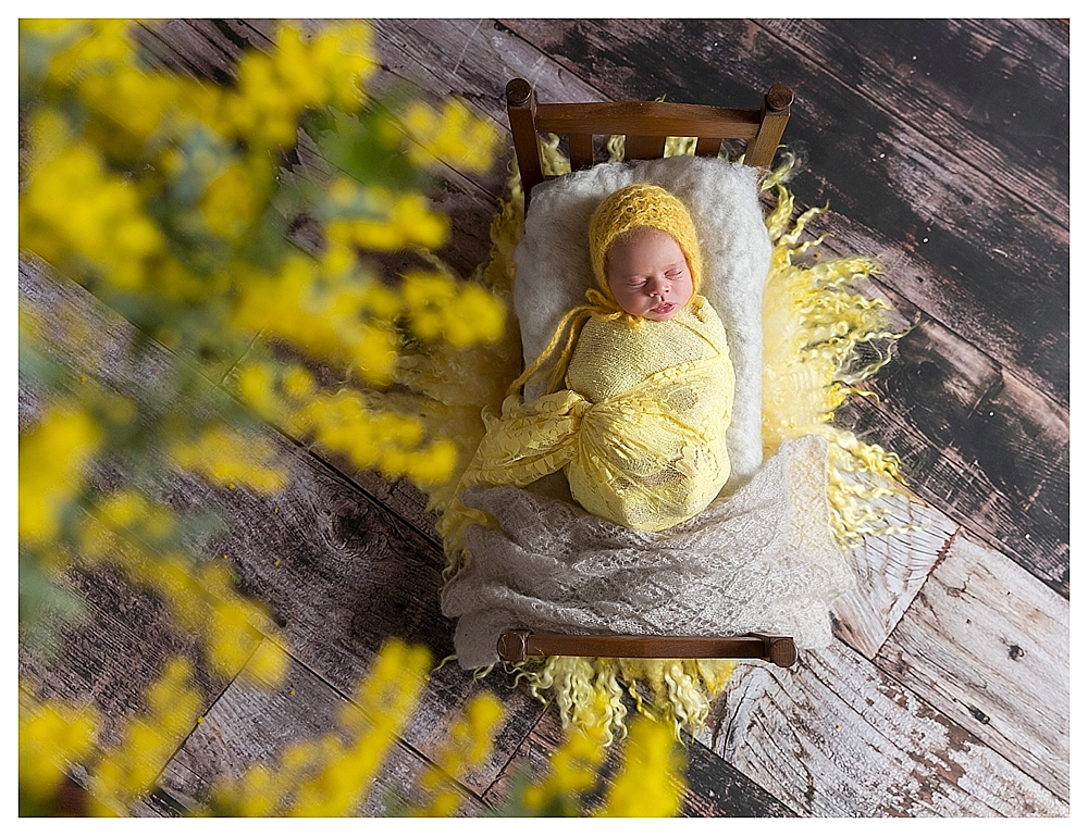 Blue Mountains Newborn Photographer_3538