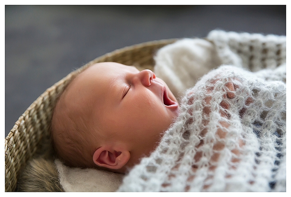 Blue Mountains Newborn Photographer_3554