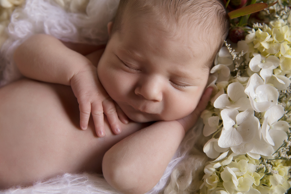 Newborn photography Blue Mountains-1