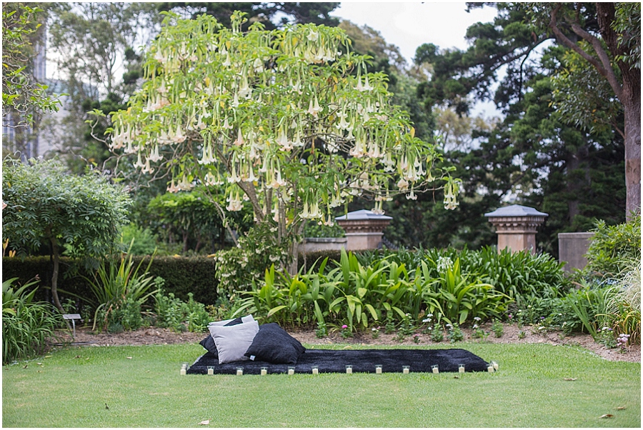 Lion Gate Lodge Royal Botanic Garden Proposal Engagement session_1008