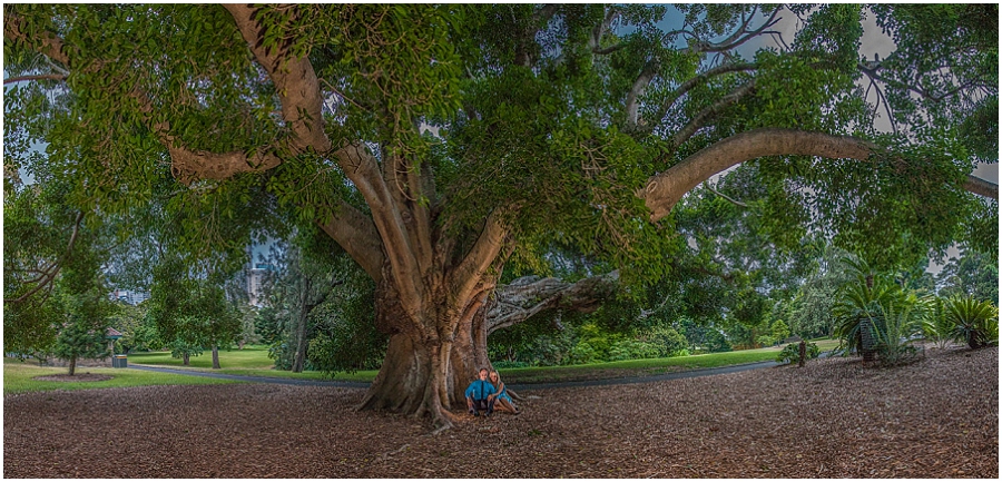 Lion Gate Lodge Royal Botanic Garden Proposal Engagement session_1030