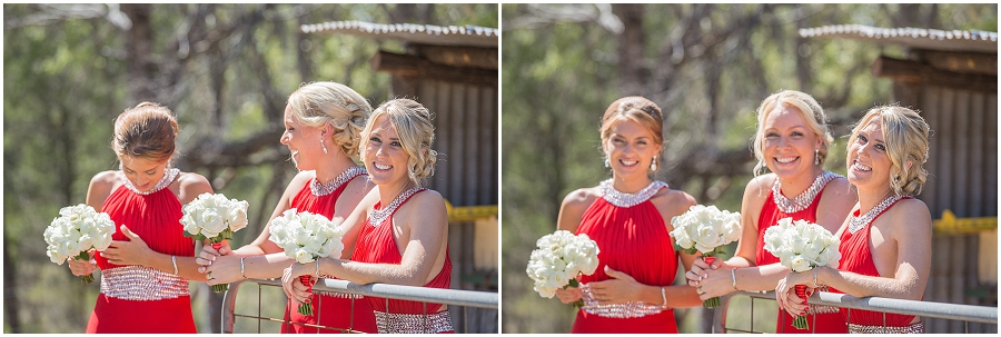 Mudgee Wedding, Di Lusso Estate Wedding, Winery Wedding_1475