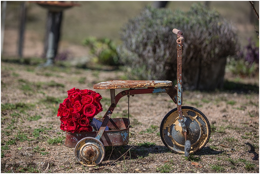 Mudgee Wedding, Di Lusso Estate Wedding, Winery Wedding_1478