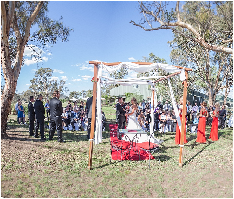 Mudgee Wedding, Di Lusso Estate Wedding, Winery Wedding_1486