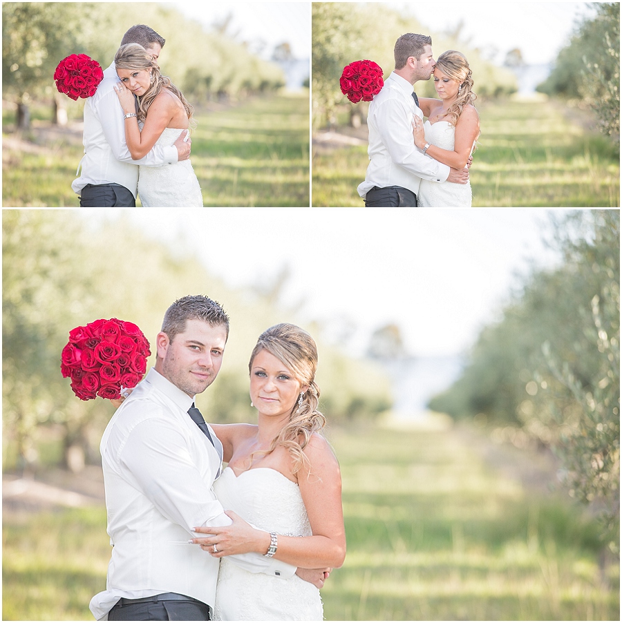 Mudgee Wedding, Di Lusso Estate Wedding, Winery Wedding_1501