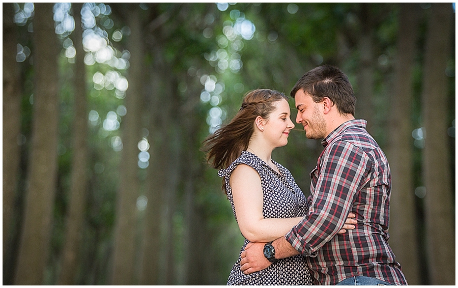 Richmond Tree Plantation Photoshoot, Engagement Photo Session, Pre Wedding Photosession, Sydney Wedding Photographer, Blue Mountains Wedding Photographer_1245