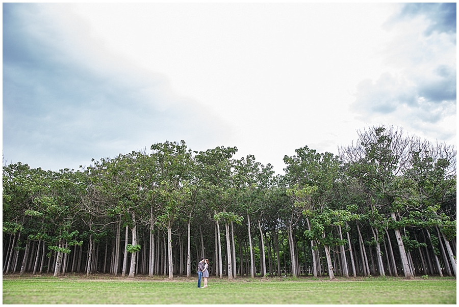 Richmond Tree Plantation Photoshoot, Engagement Photo Session, Pre Wedding Photosession, Sydney Wedding Photographer, Blue Mountains Wedding Photographer_1246