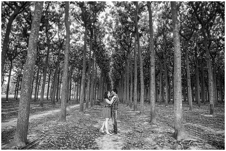 Richmond Tree Plantation Photoshoot, Engagement Photo Session, Pre Wedding Photosession, Sydney Wedding Photographer, Blue Mountains Wedding Photographer_1248