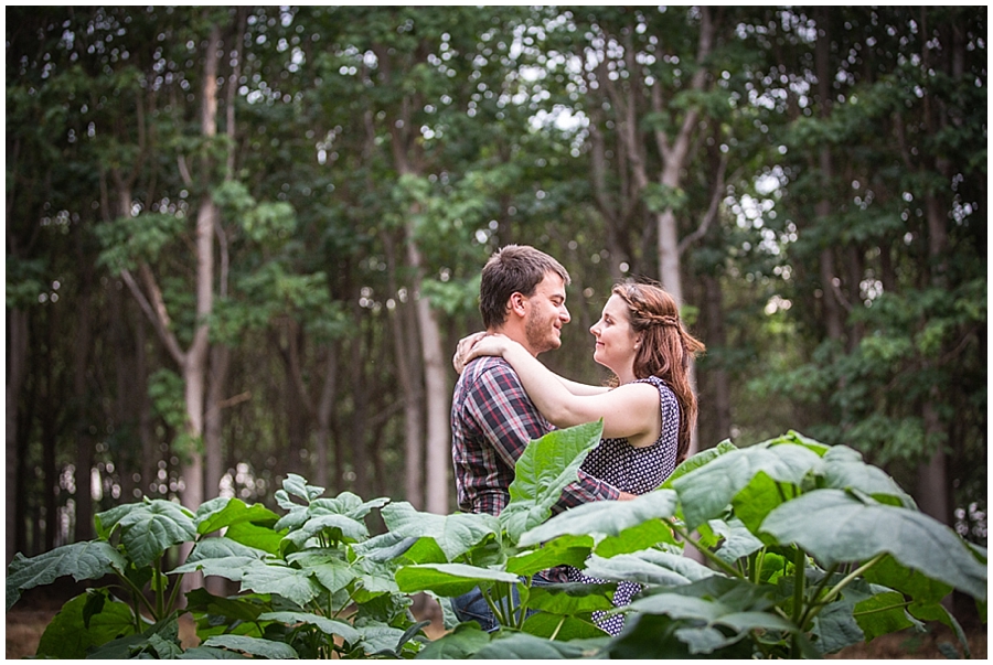 Richmond Tree Plantation Photoshoot, Engagement Photo Session, Pre Wedding Photosession, Sydney Wedding Photographer, Blue Mountains Wedding Photographer_1254