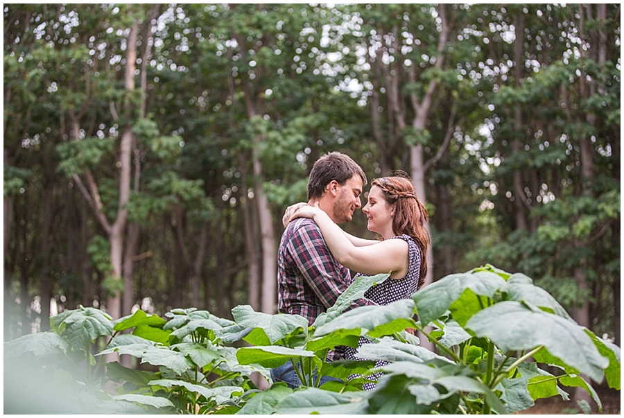 Richmond Tree Plantation Photoshoot, Engagement Photo Session, Pre Wedding Photosession, Sydney Wedding Photographer, Blue Mountains Wedding Photographer_1255