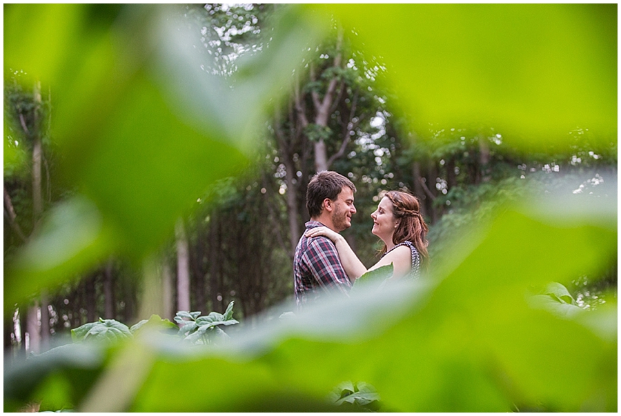 Richmond Tree Plantation Photoshoot, Engagement Photo Session, Pre Wedding Photosession, Sydney Wedding Photographer, Blue Mountains Wedding Photographer_1257