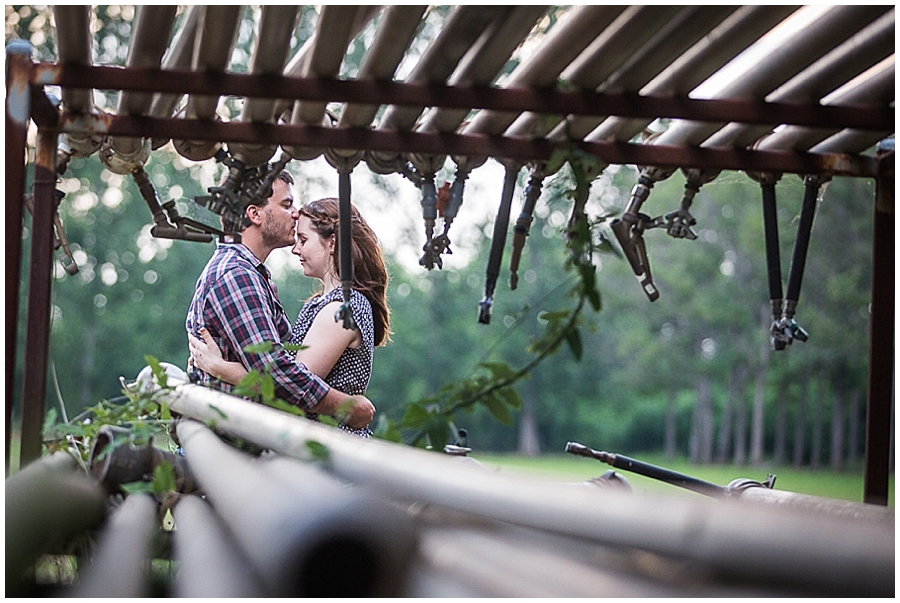 Richmond Tree Plantation Photoshoot, Engagement Photo Session, Pre Wedding Photosession, Sydney Wedding Photographer, Blue Mountains Wedding Photographer_1261