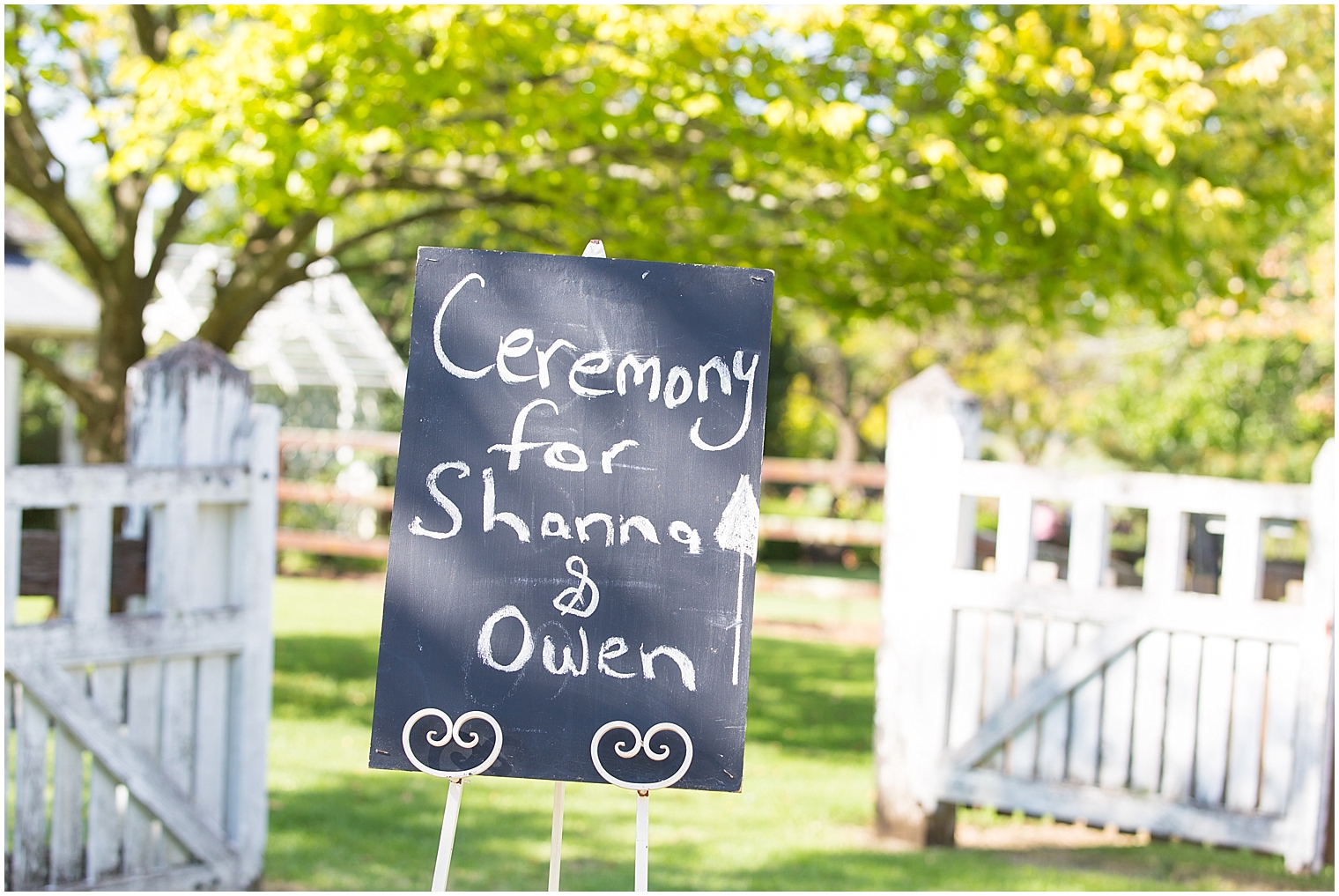 Sydney Wedding Photographer