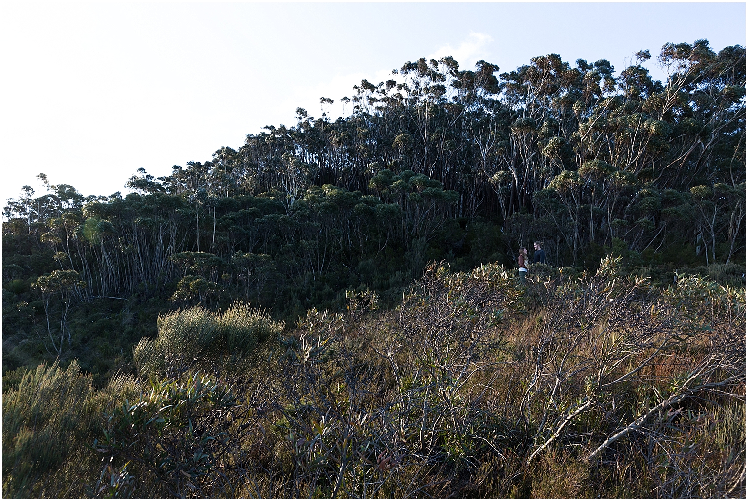 Blue Mountains Wedding Photographer_2450