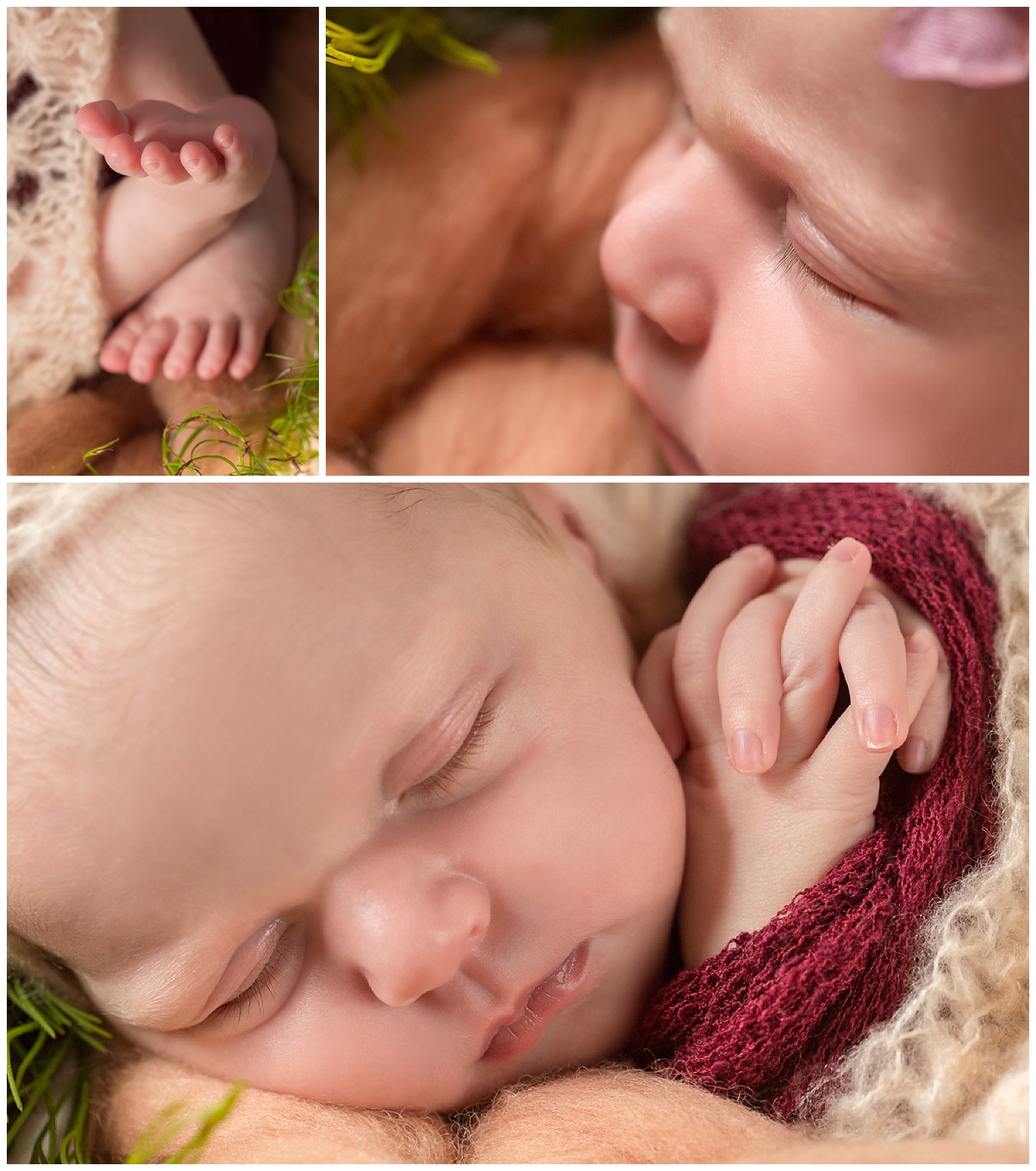 Blue Mountains Newborn Photography_2614