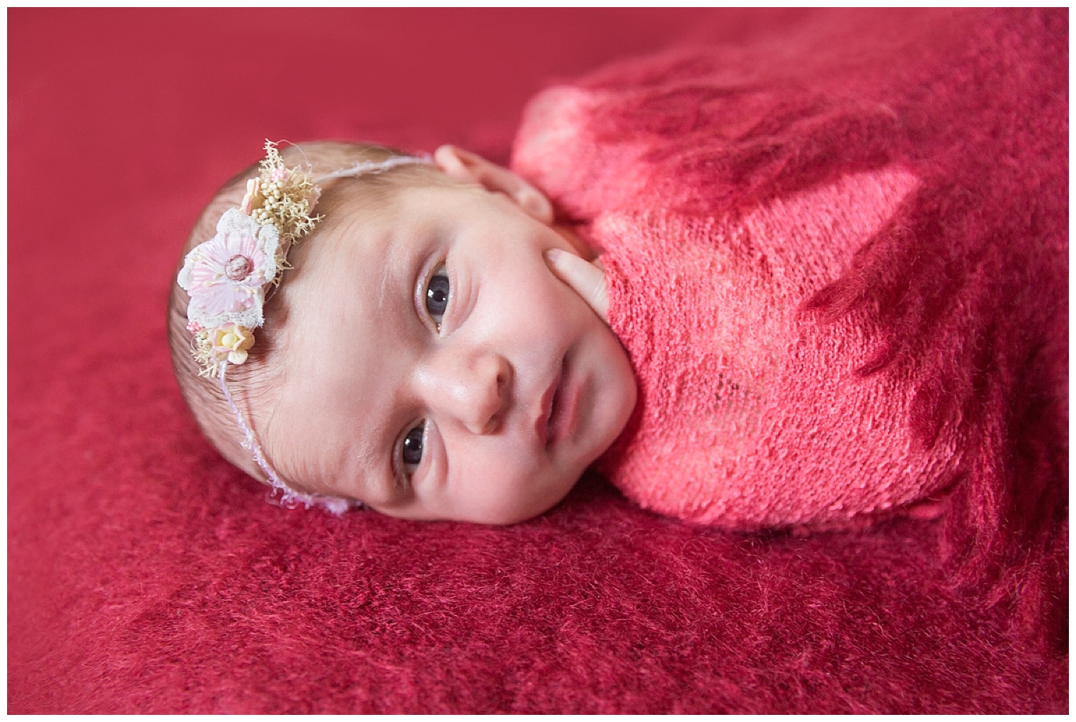 Blue Mountains Newborn Photography_2622