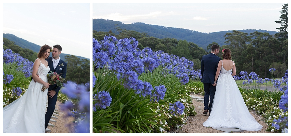 Blue Mountains Wedding Photographer_3509